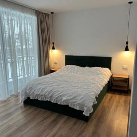 Casa Montwis, hotel in Brezoi