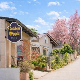 Golden Apple Villa Đà Lạt, hotel in Khu Chi Lăng