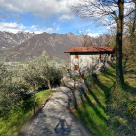 Oasi delle Querce casa nel bosco vista lago e comfort a Monte Isola, Hotel in Monte Isola