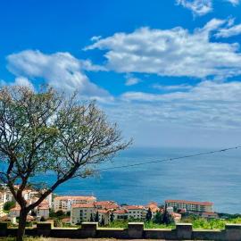 Vista Mar Incrível no Caniço com Estacionamento
