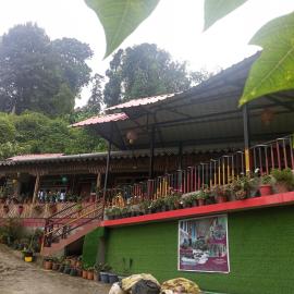 Bamboo Queen Homestay Rongo, hotel di Kumai