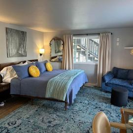 The Dandelion SV-Bloom. B&B, Reimagined, hotel i Hailey