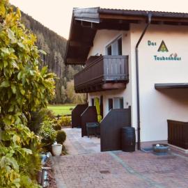 Apartment with terrace in Hollersbach