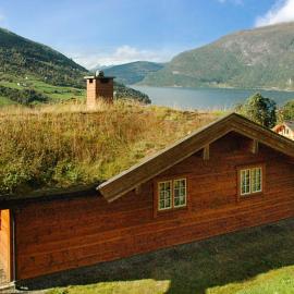 7 person holiday home in olden
