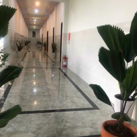 Khách sạn long hải, hotel u gradu 'Ấp Long Bình'