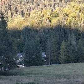Voroneț, CABANA IOANA, Bucovina!、ヴォロネツのホテル