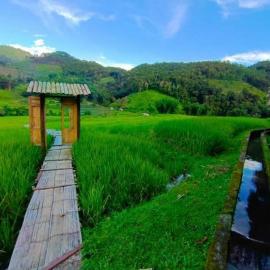Nanon Homestay นานอน โฮมสเตย์, hotel in Mae Hong Son