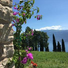 Agriturismo Casa del Castagneto, hotel in Gargnano