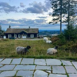 Authentic Family Cabin Experience At Sjusjøen, hotel i Sjusjøen