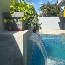 BDS Goa Private Pool Luxury Villa