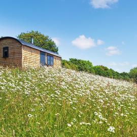 Pip's Hut, hotel in Bideford