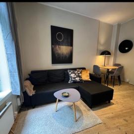 Bislett Sunny View Room Central Oslo