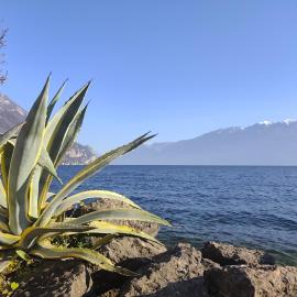 Appartamenti del Porto - Bogliaco Lago di Garda, hotel in Gargnano