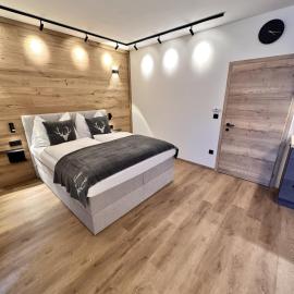 Alpin Studio Haus, Kaibling & Ski amadé, hotel in Haus im Ennstal