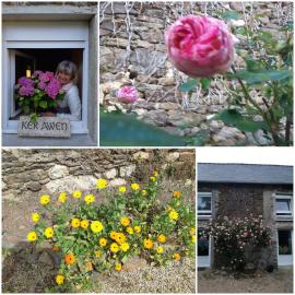 KerAwen Gîte en Brocéliande, hotel Mohonban