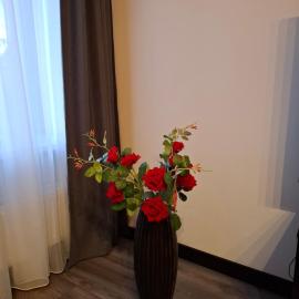 Mistera rezidence, Hotel in Jelgava