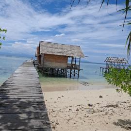 Par fray homestay