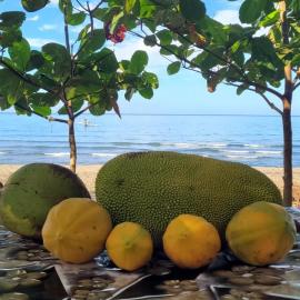 Mananambal Beach Huts - Hut 2, hotel a Nagbalaye