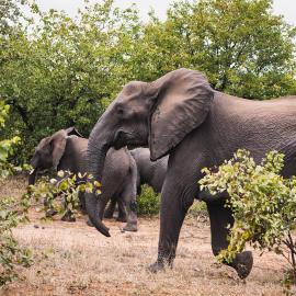 Oase by 7 Star Lodges - Greater Kruger Private 530ha Reserve, hotel u gradu Hoedspruit