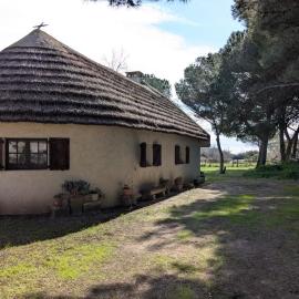 cabane de gardian