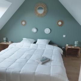 Pleudihen-sur-Rance에 위치한 호텔 Charmant appartement bord de rance