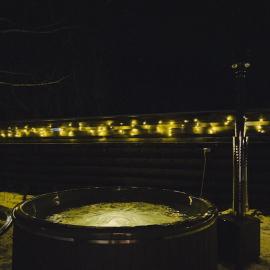 Forrest, Hotel in Strizhevka