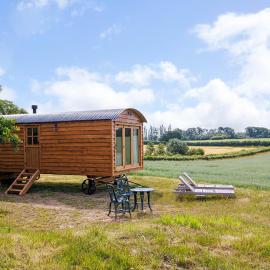 Pelsham Shepherd's Hut