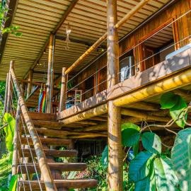 Casas D'Água Doce - Casa Amora