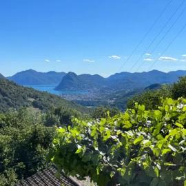 Charming House with Views in Capriasca