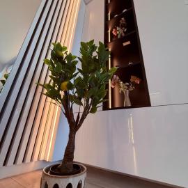 Luxury and space near Mall Moldova, hotel in Iaşi