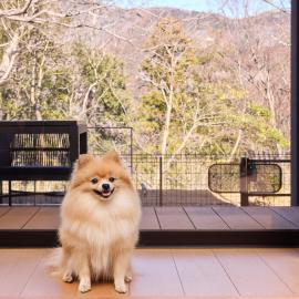Rakuten STAY VILLA Hakone Gora - Vacation STAY 35803v: Gora şehrinde bir otel