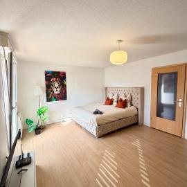 Appartement cosy à 10 min de Strasbourg - Bischheim, hotel v destinácii Bischheim