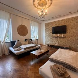 Urban Spacious Bright Apartment with DanubeView