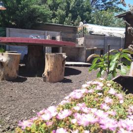 La casa de porota