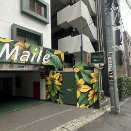 Hotel Maile