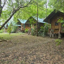 The Cabins at Green Acres Village - Cozy Nature Stay in Moalboal: Moalboal şehrinde bir otel