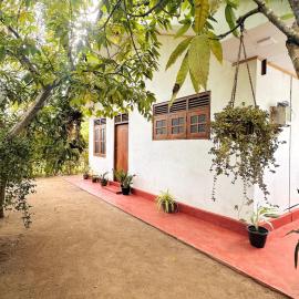 Ivy Cottage- Midigama, hotelli kohteessa Midigama East