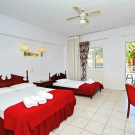 Dolphin Hotel, hotell i Skopelos stad