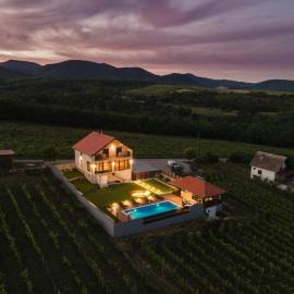 Private Vineyard Villa with Heated Pool, Spa & BBQ by Destination GREEN Croatia, ξενοδοχείο σε Velika