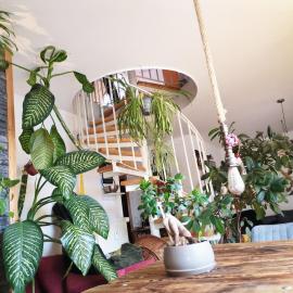 green maisonette with sauna and balcony, fully equipped, hotel a Freising