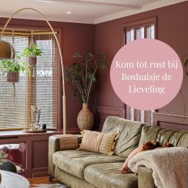 Boshuisje met privétuin bij Kruisbergse bossen Achterhoek