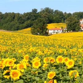 Les Renaudières Chalais, hotell i Chalais