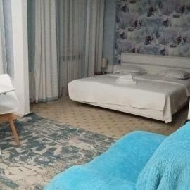 Delight Сая