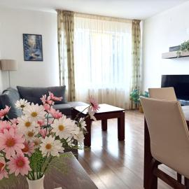 607 Stream Resort Panoramic apartment with FREE Parking and SPA
