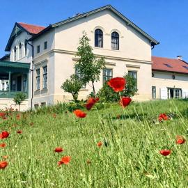 10-Minute Walk to Lake Balaton - Exclusive Castle, hotel in Balatonakali