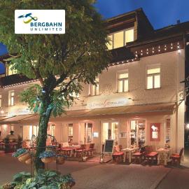 Alpin Lifestyle Hotel Löwen & Strauss，奧伯斯特多夫的飯店