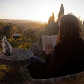 Agriturismo Il Castagnolino, hotel in San Gimignano