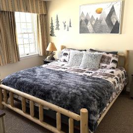 Mountain View Suite Sleeps 4 Ski OnOff Jiminy Peak, hotel in Hancock