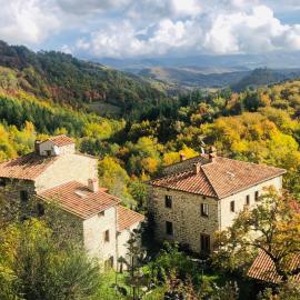 Bio Agriturismo Il Vigno - Adults Only - Farm To Table Food - Pool Sauna Nature - Wild Tuscan countryside - Your Place to Breathe, hotel u gradu 'Caprese Michelangelo'