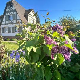 Le Hêtre Rouge - Écureuil et Geai Charme & Spa Alsace – hotel w mieście Barr